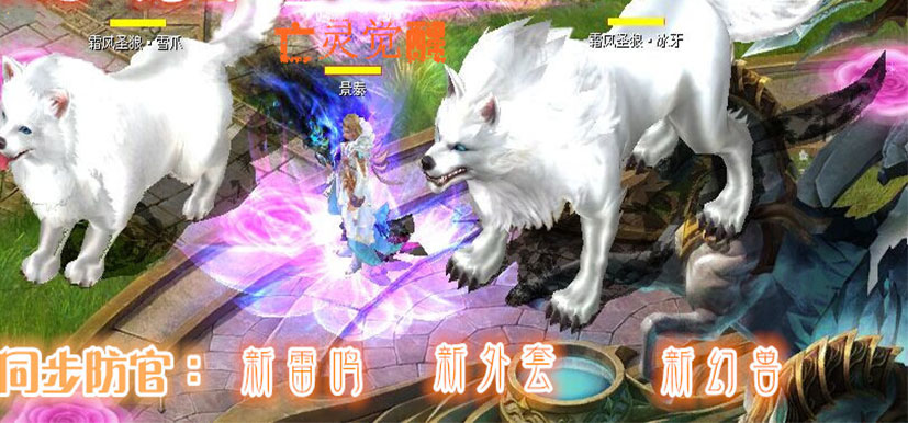 独家版本 ,领衔行业